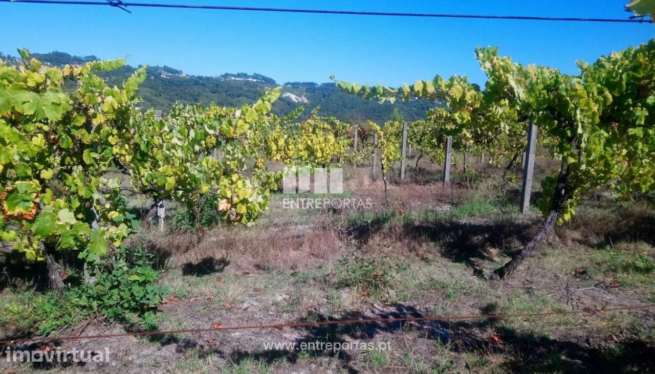 Venda Terreno com possibilidade de construção, São Simão, Amarante - Grande imagem: 2/30