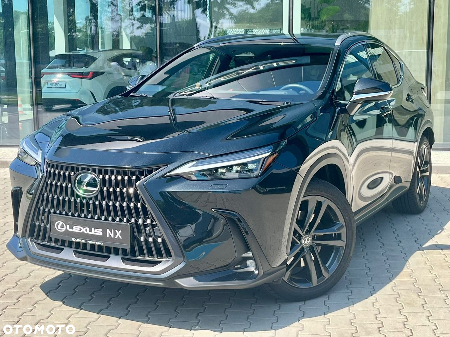 Lexus NX - 10