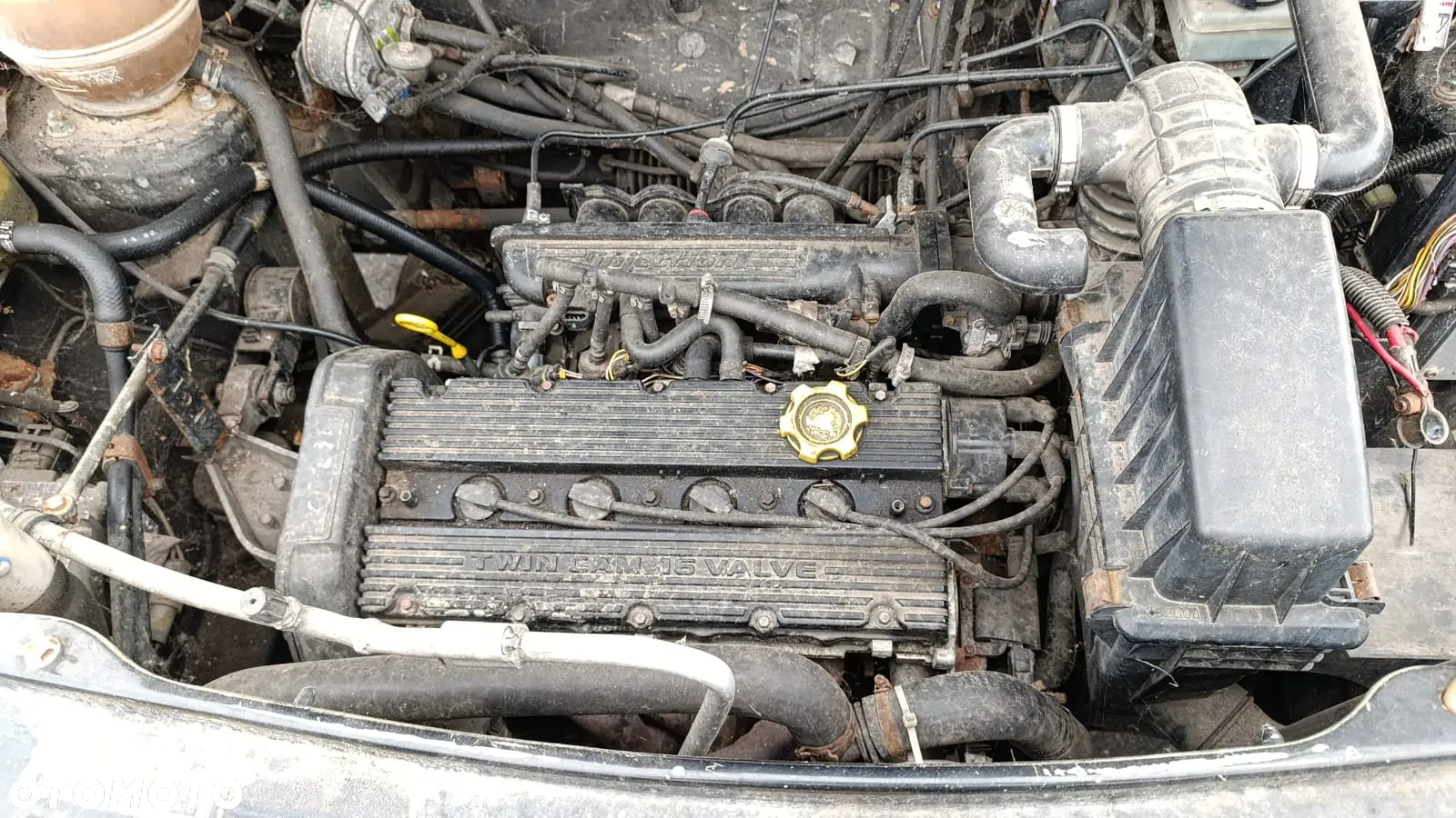 34989 Landrover Freelander I na części  silnik 1.8 16V 18K4F 120 km lakier 697 - 2