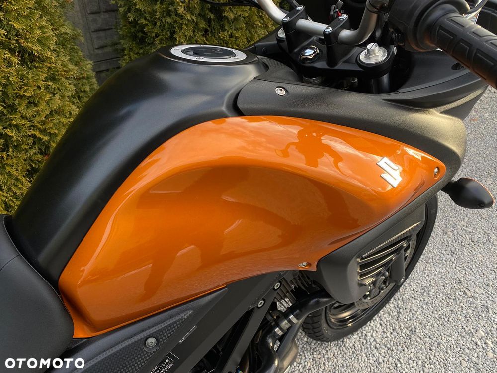 Suzuki V-STROM - 10