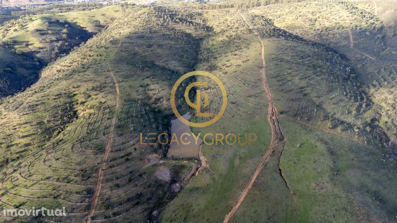 Odemira - Terreno 49 Ha e PIP construção 1700m2 - Grande imagem: 3/24