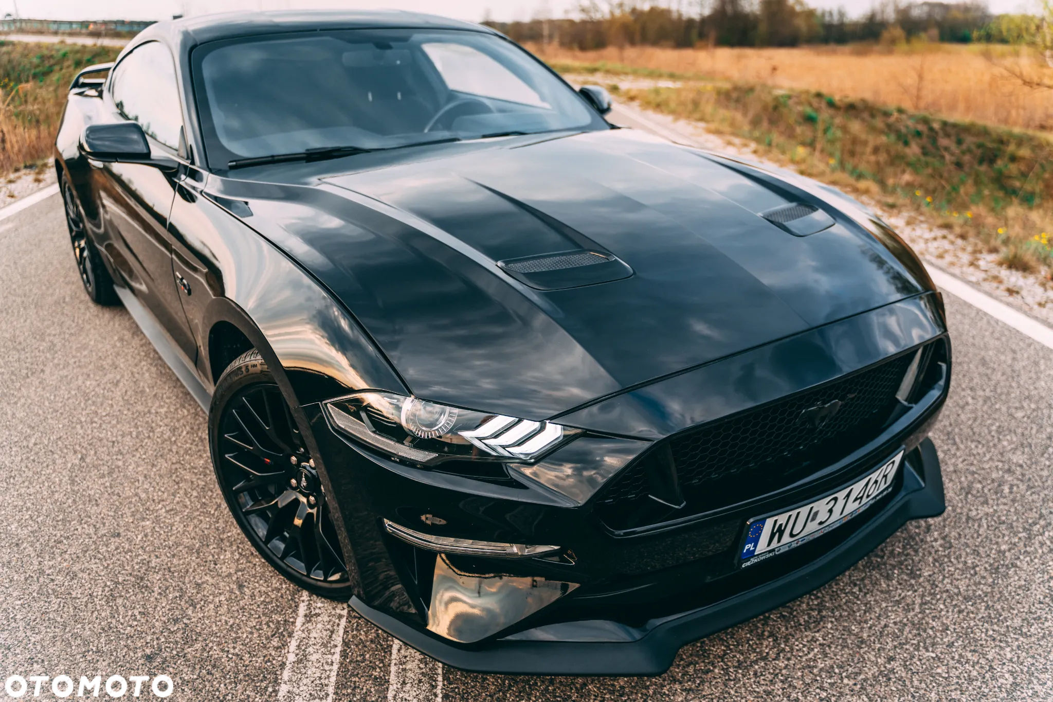 Ford Mustang 5.0 V8 GT - 5
