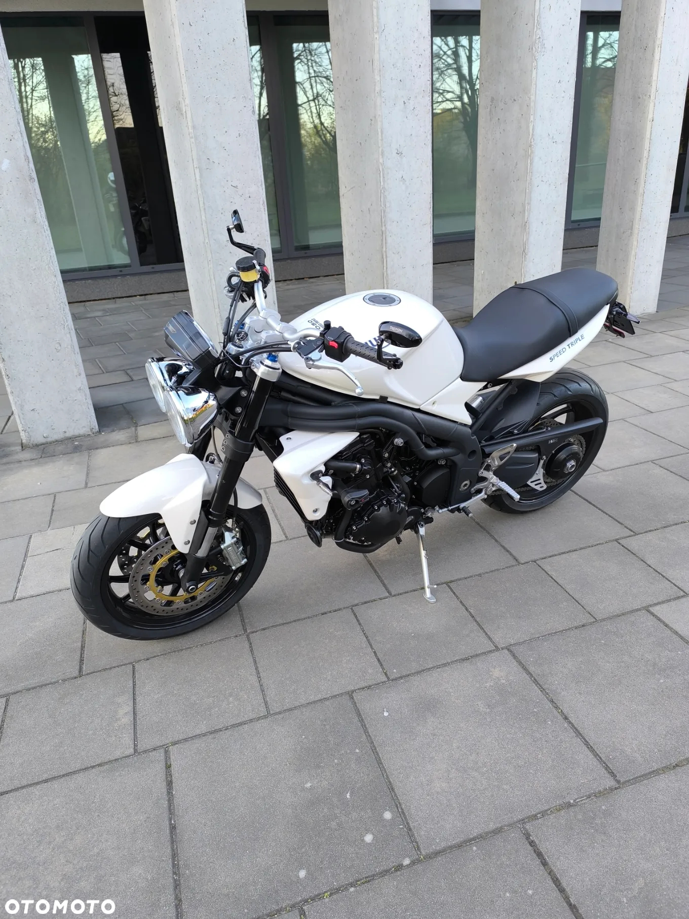 Triumph Speed Triple - 6