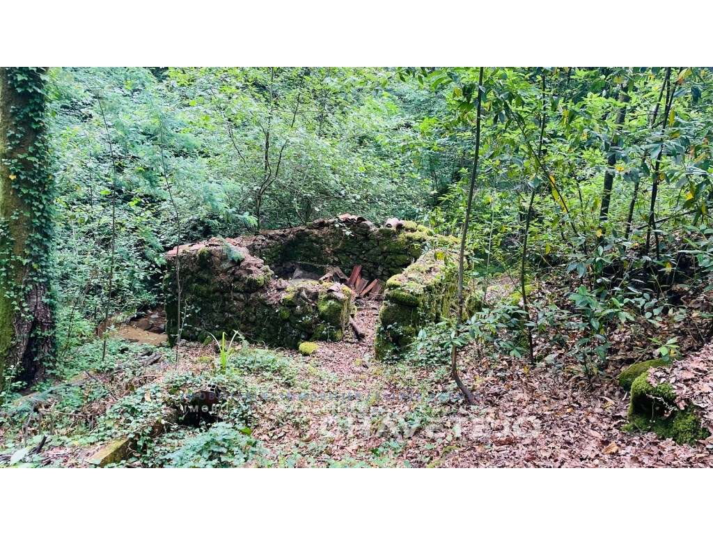 Ruina de Azenha à beira rio, suscetível para obras de conservação c... - Grande imagem: 3/25