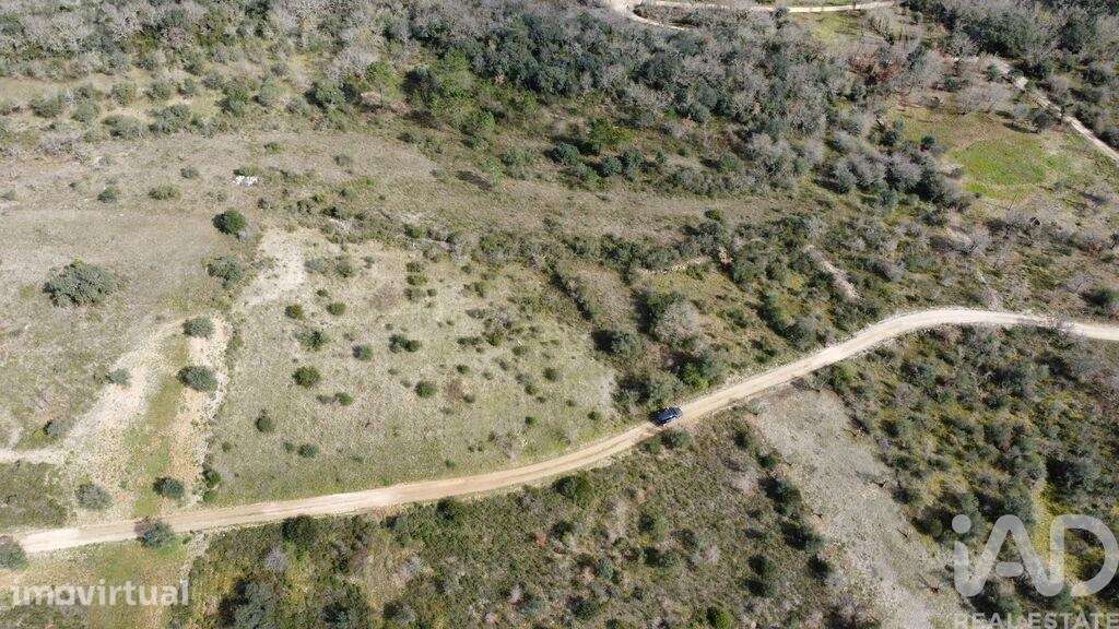 Terreno em Chãos de 13960,00 m2 - Grande imagem: 2/30