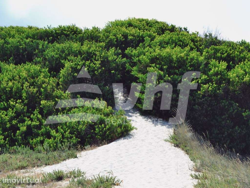 Lote para Construção Moradia - Torreira - Grande imagem: 4/11