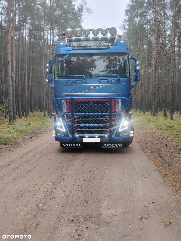 Volvo FH16 650 (DO DREWNA) - 7