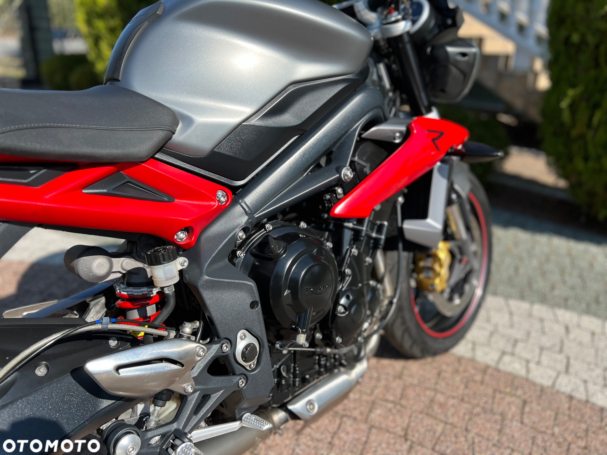 Triumph Street Triple - 15