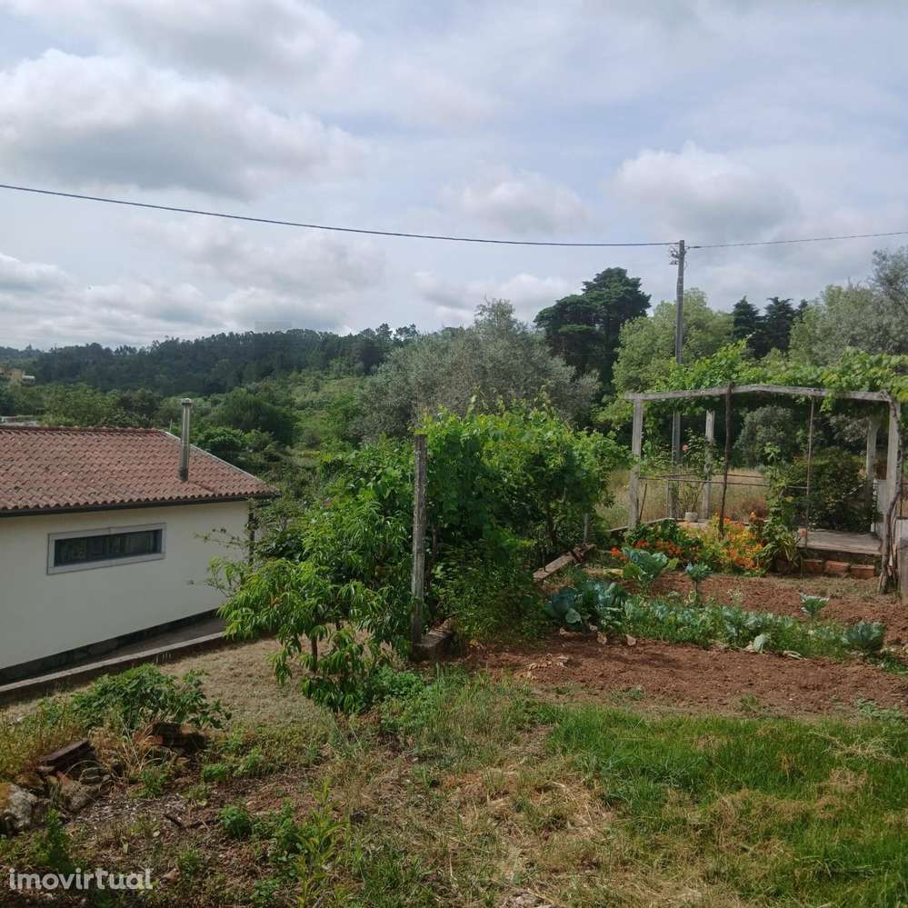 TERRENO COM VIABILIDADE DE CONSTRUÇÃO EM ASSAFARGE – COIMBRA - Grande imagem: 3/30