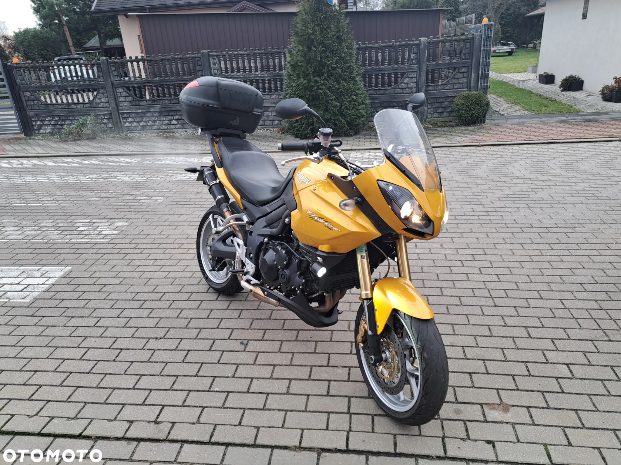 Triumph Tiger - 2
