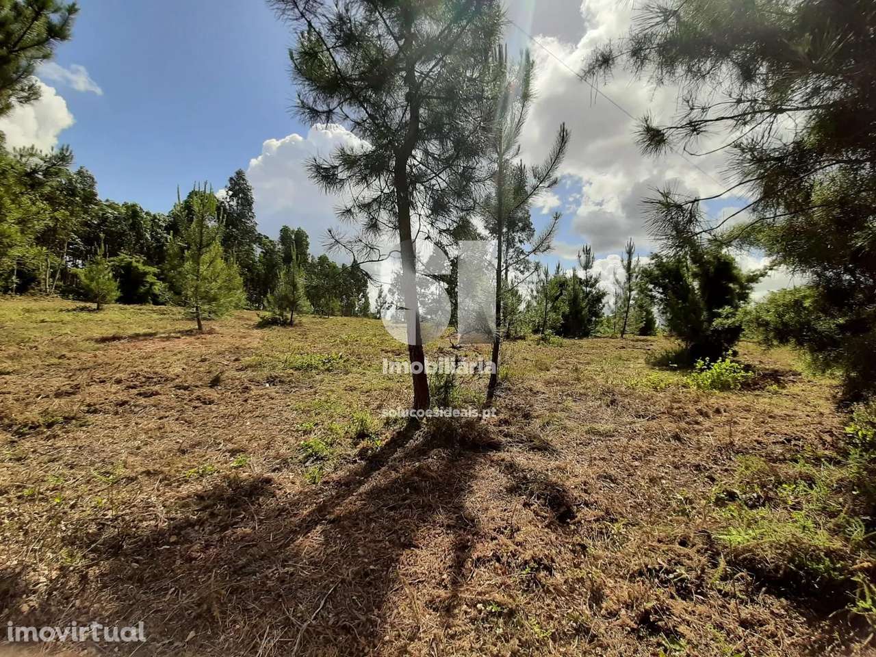 Terreno em Mealhada - Grande imagem: 3/5