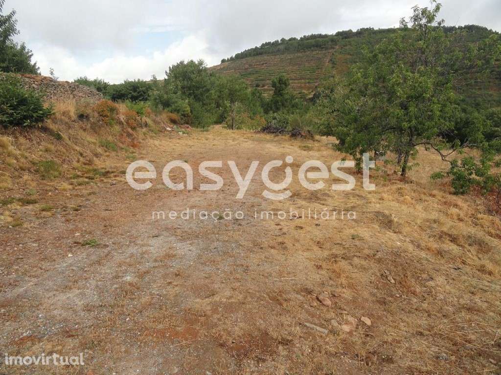 Terreno Rústico com cerca de 60 cerejeiras em Alcongosta - Grande imagem: 2/10
