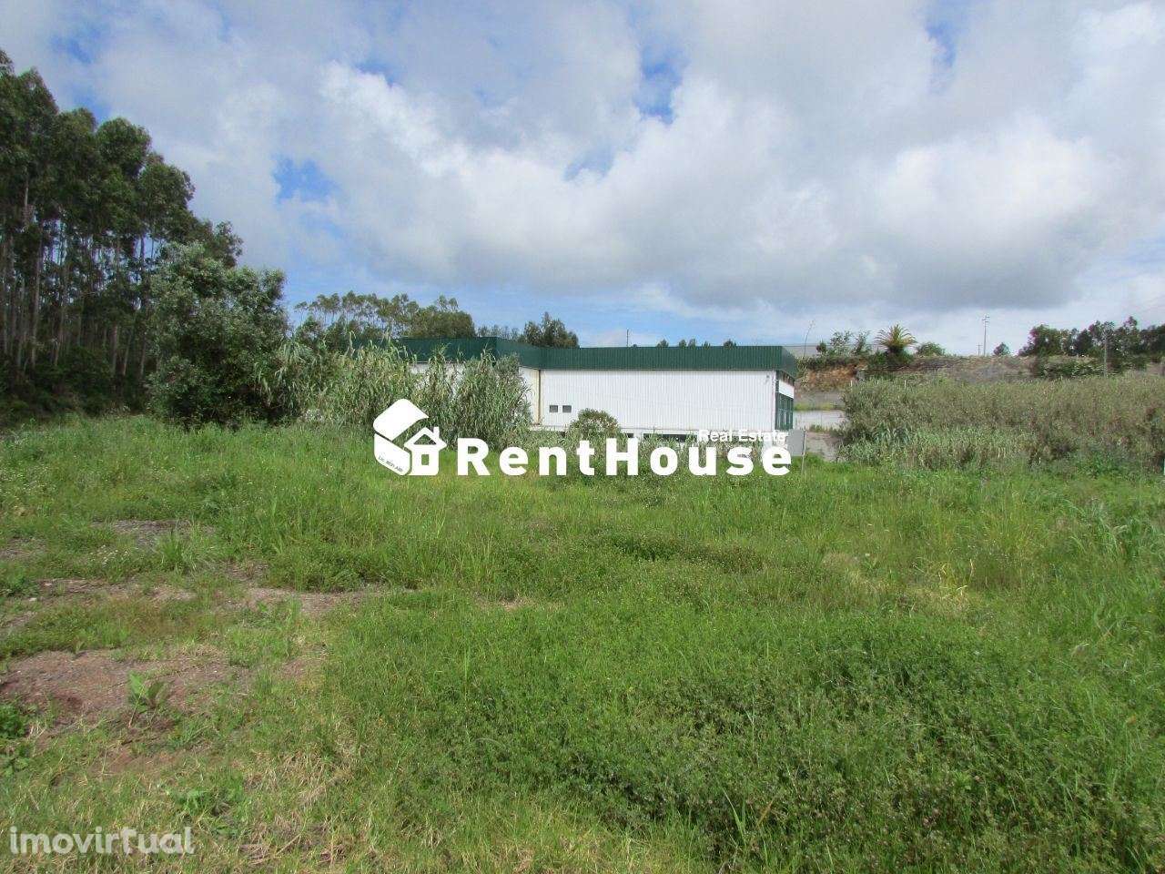 Terreno Industrial Junto à Nacional 109 - Grande imagem: 5/6