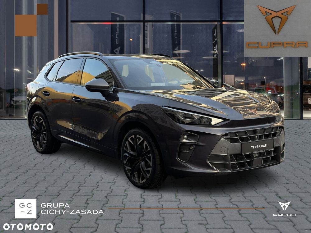Cupra Terramar - 9