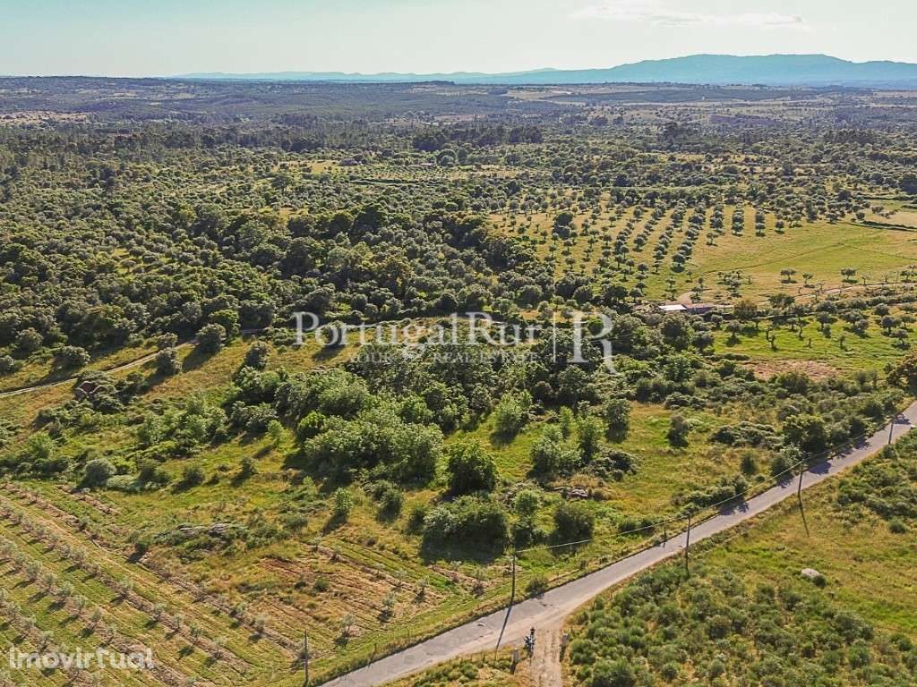 Quinta com 19,6 hectares ideal para projetos agroflorestais - Grande imagem: 4/27