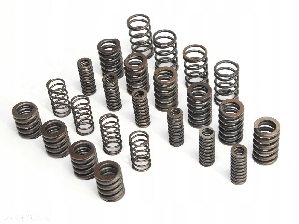 ZESTAW naprawczy SPRĘŻYNY TŁUMIKA DRGAŃ MPS6 6DCT450 - 2