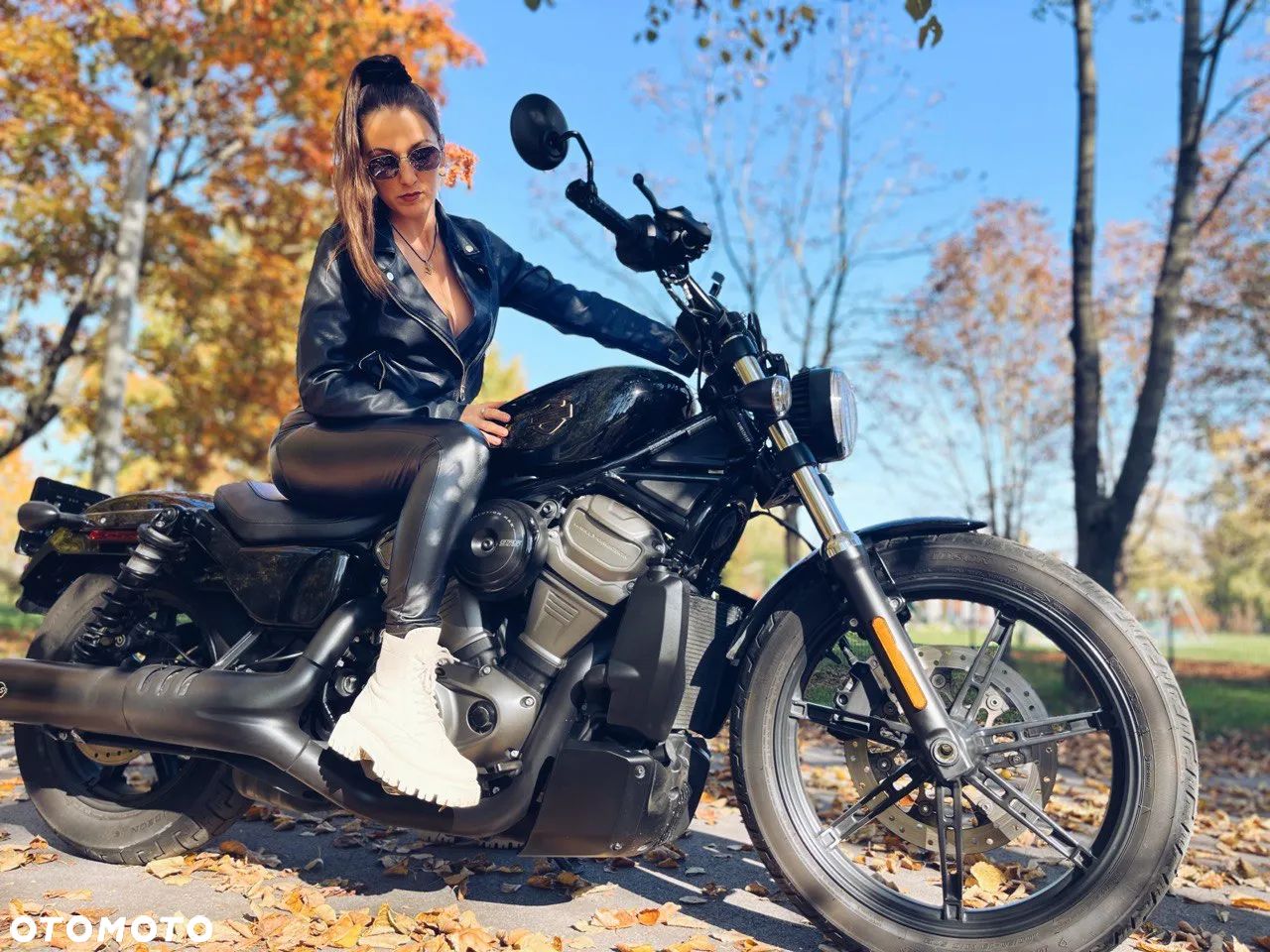 Harley-Davidson Sportster Nightster 975 - 1