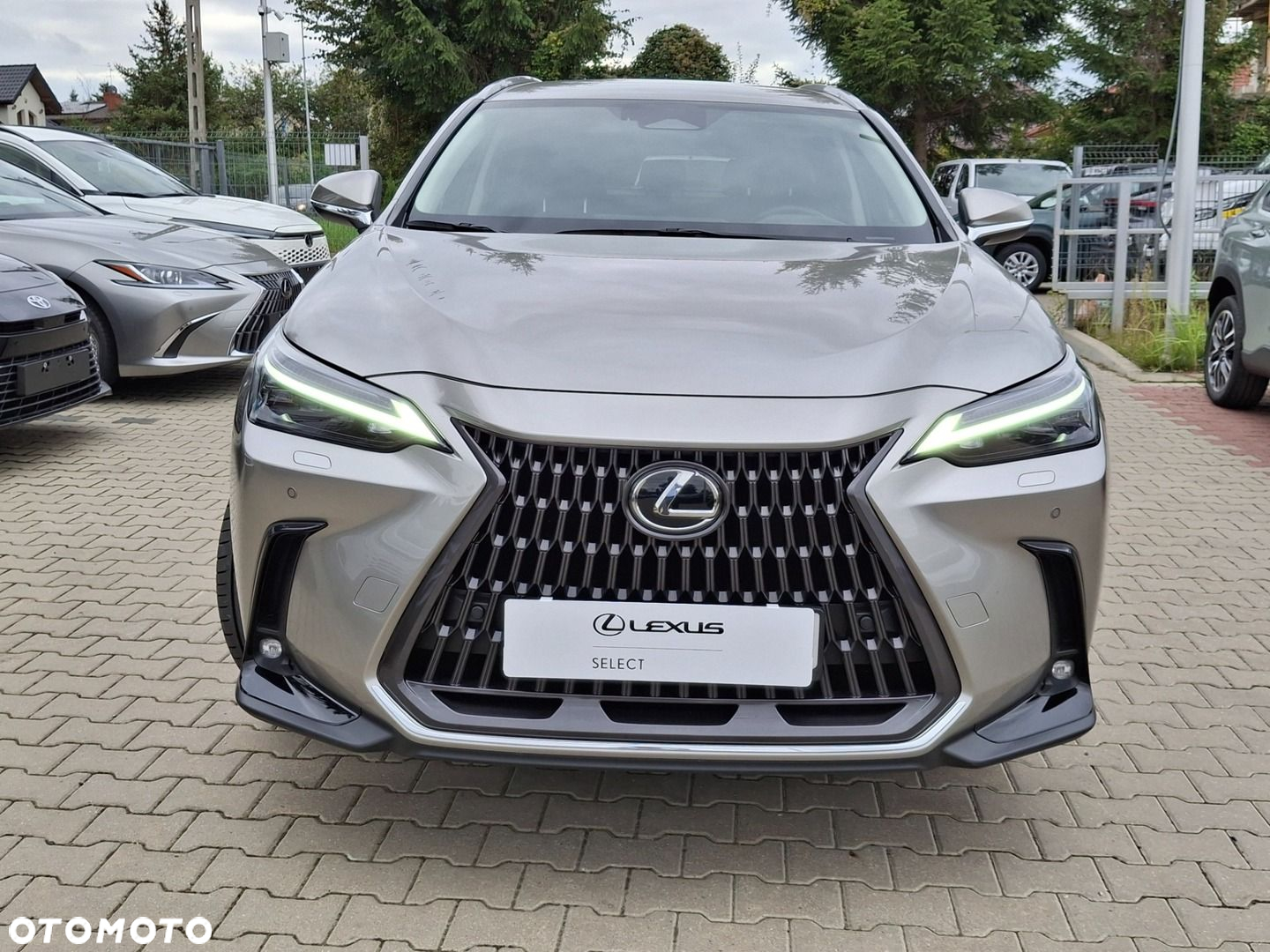 Lexus NX 350h Prestige AWD - 31