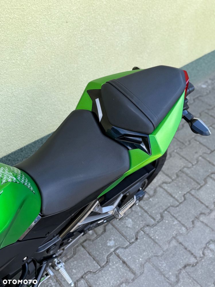 Kawasaki Z - 33