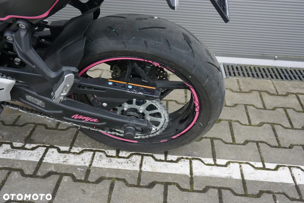 Kawasaki Ninja - 18