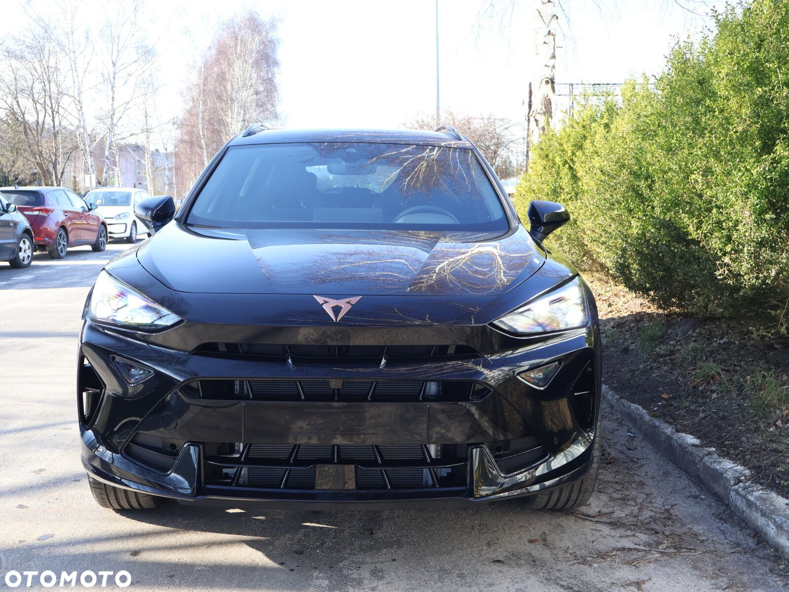 Cupra Formentor - 25