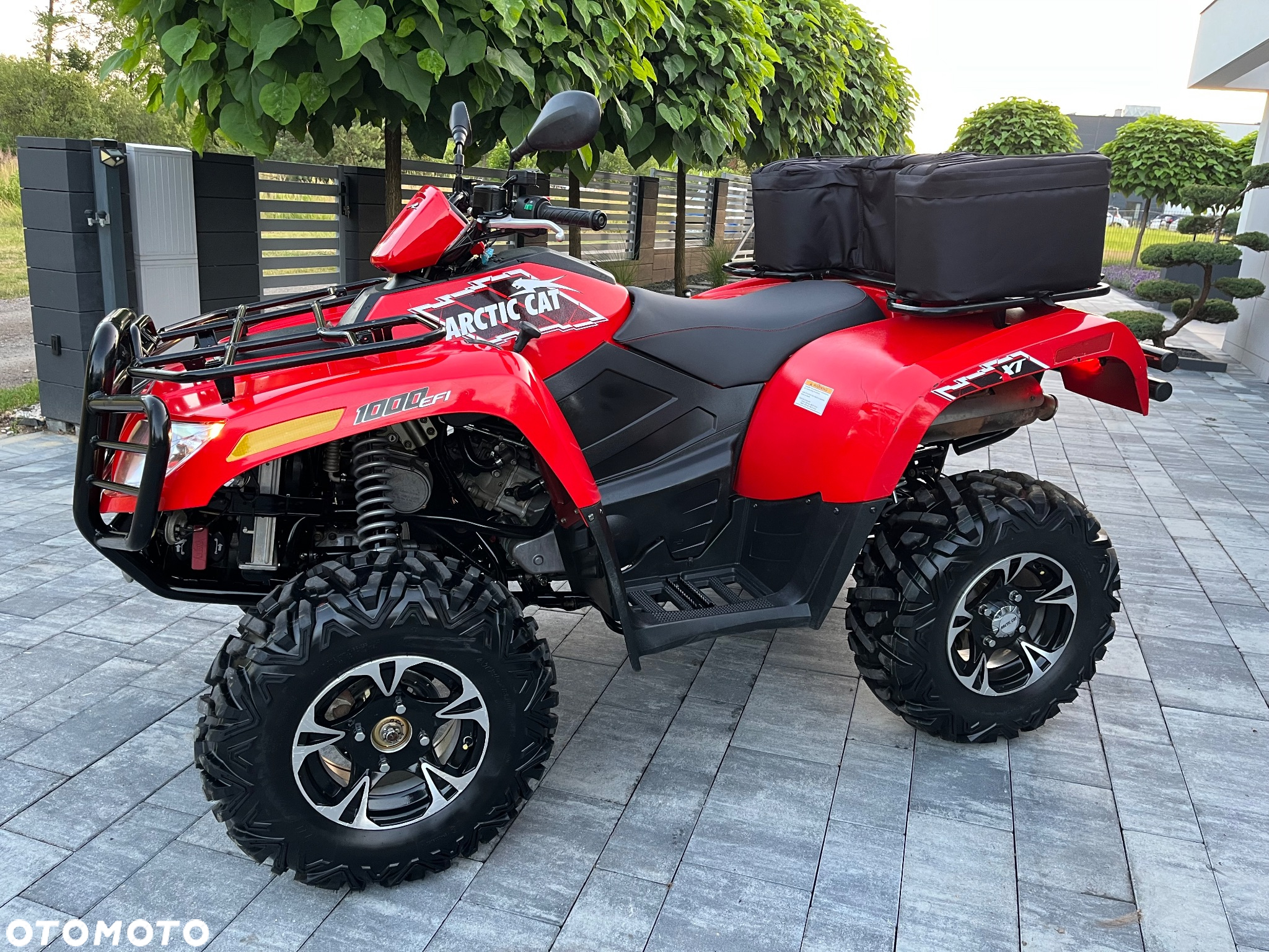 Arctic Cat Inny