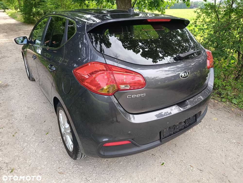 Kia Ceed 1.6 CRDi 128 Fifa World Cup Edition - 34