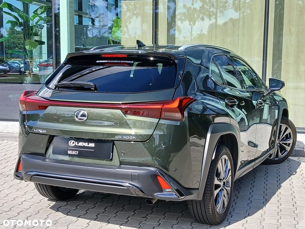 Lexus UX 300h F Sport Design - 13
