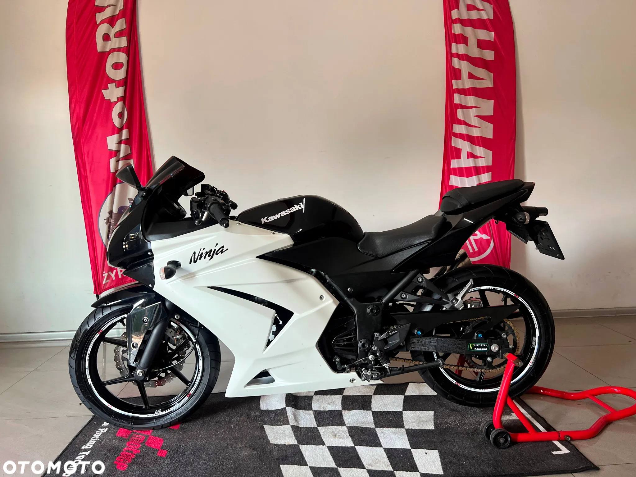 Kawasaki Ninja 250R - 9