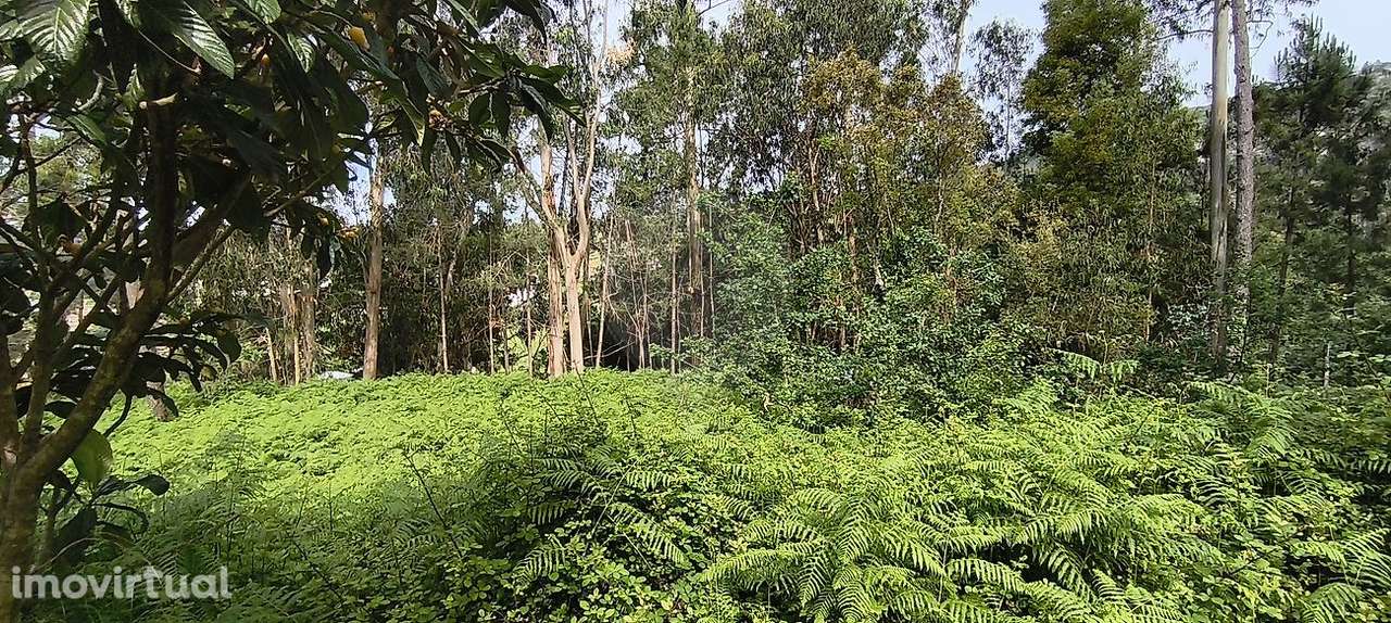 Terreno  para venda - Grande imagem: 5/5