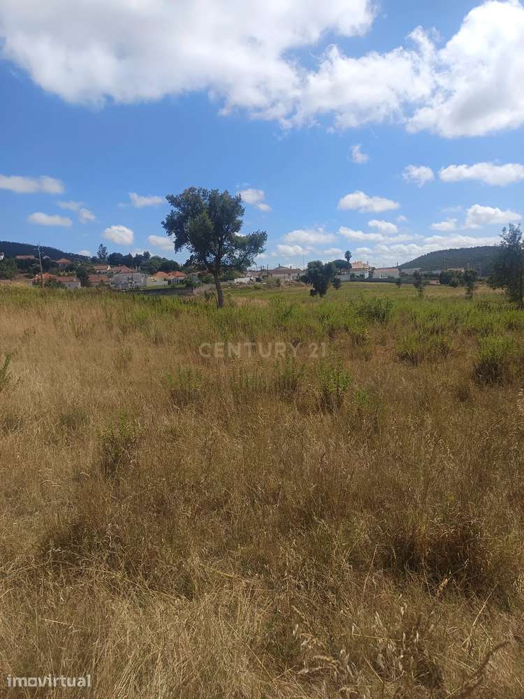 Terreno de 4.520 m2 em Monte Redondo -Torres Vedras - Grande imagem: 4/6
