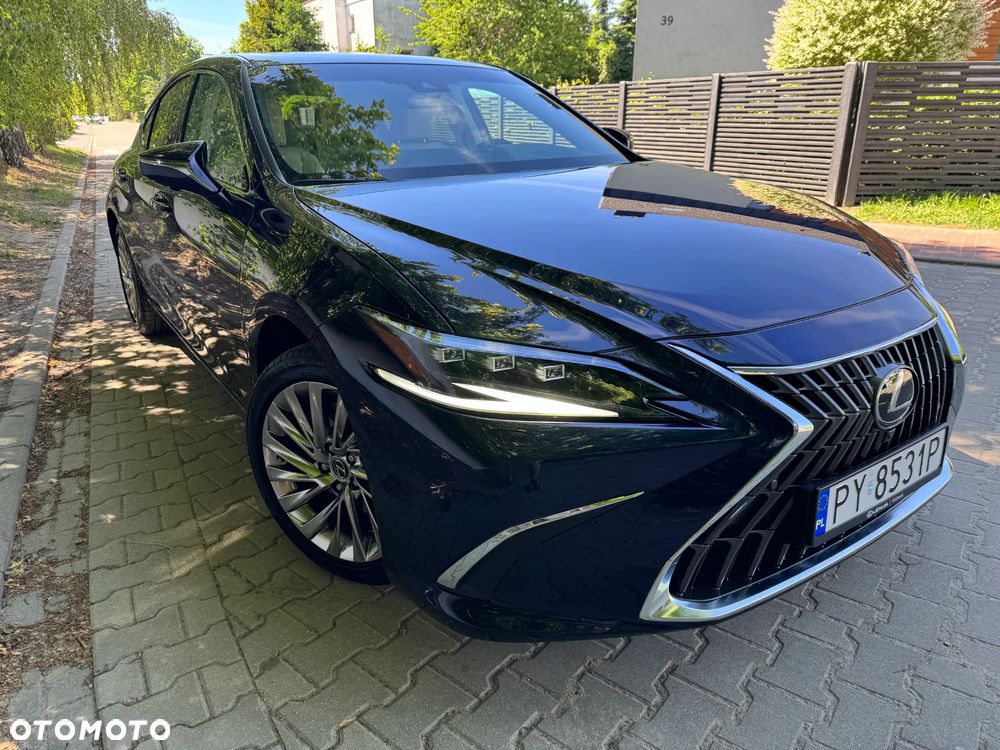 Lexus ES 300h Omotenashi - 4