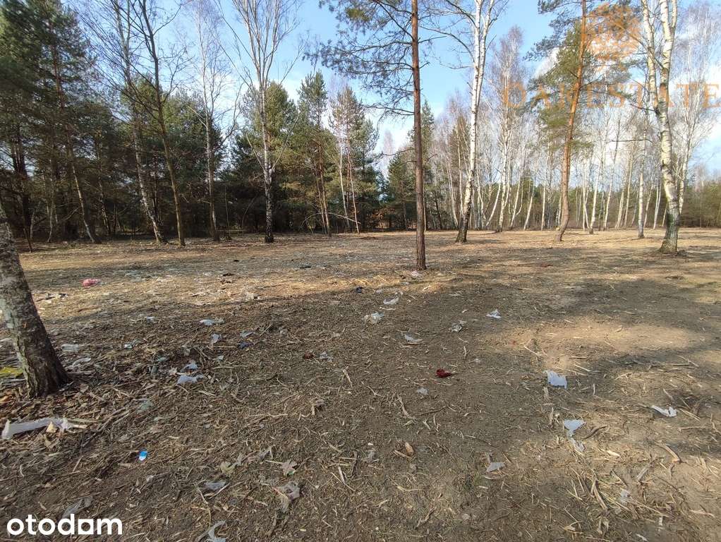 działki 1100 m2, cisza i zieleń - Pełny obrazek: 4/7