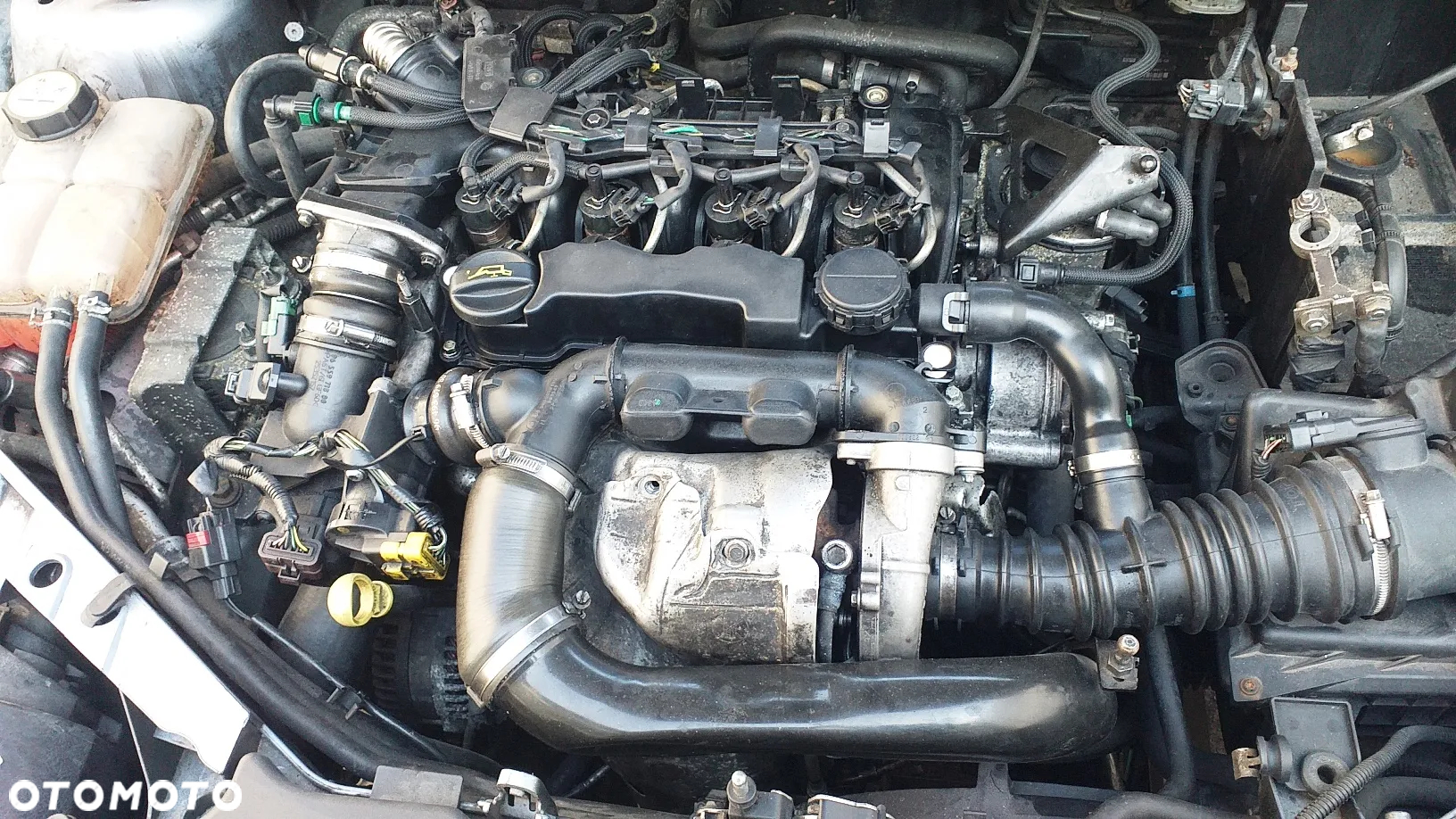 Na części Ford Focus MK2 3-drzwi 1.6 Diesel lak. Z3 silnik skrzynia biegów maska zderzak szyba klapa lampa fotel kanapa deska belka zawieszenie hak koła - 22