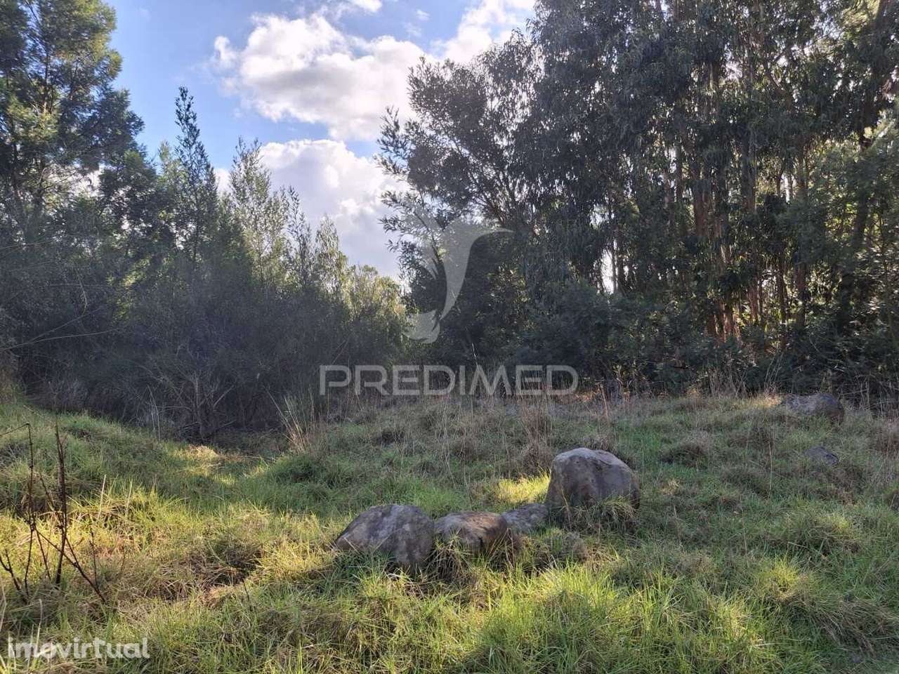 Terreno Gaula - Grande imagem: 5/12