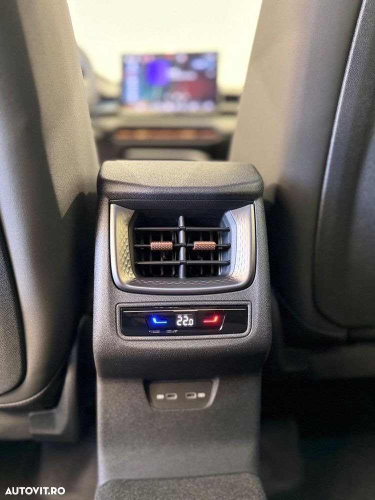 Cupra Terramar - 11