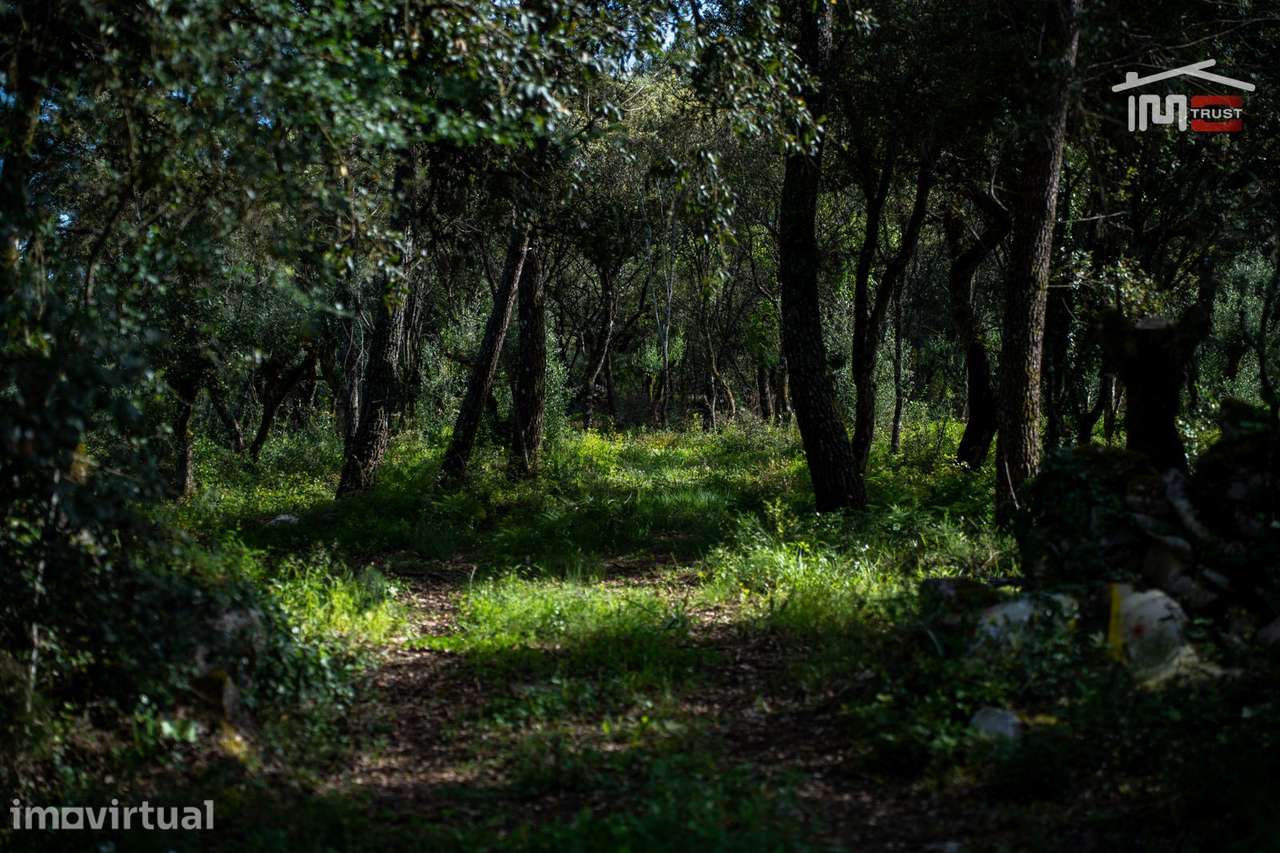 TERRENO COM AREA DE 4280 M2 COM VIABILIDADE DE CONSTRUÇÃO JA TEVE P... - Grande imagem: 4/11