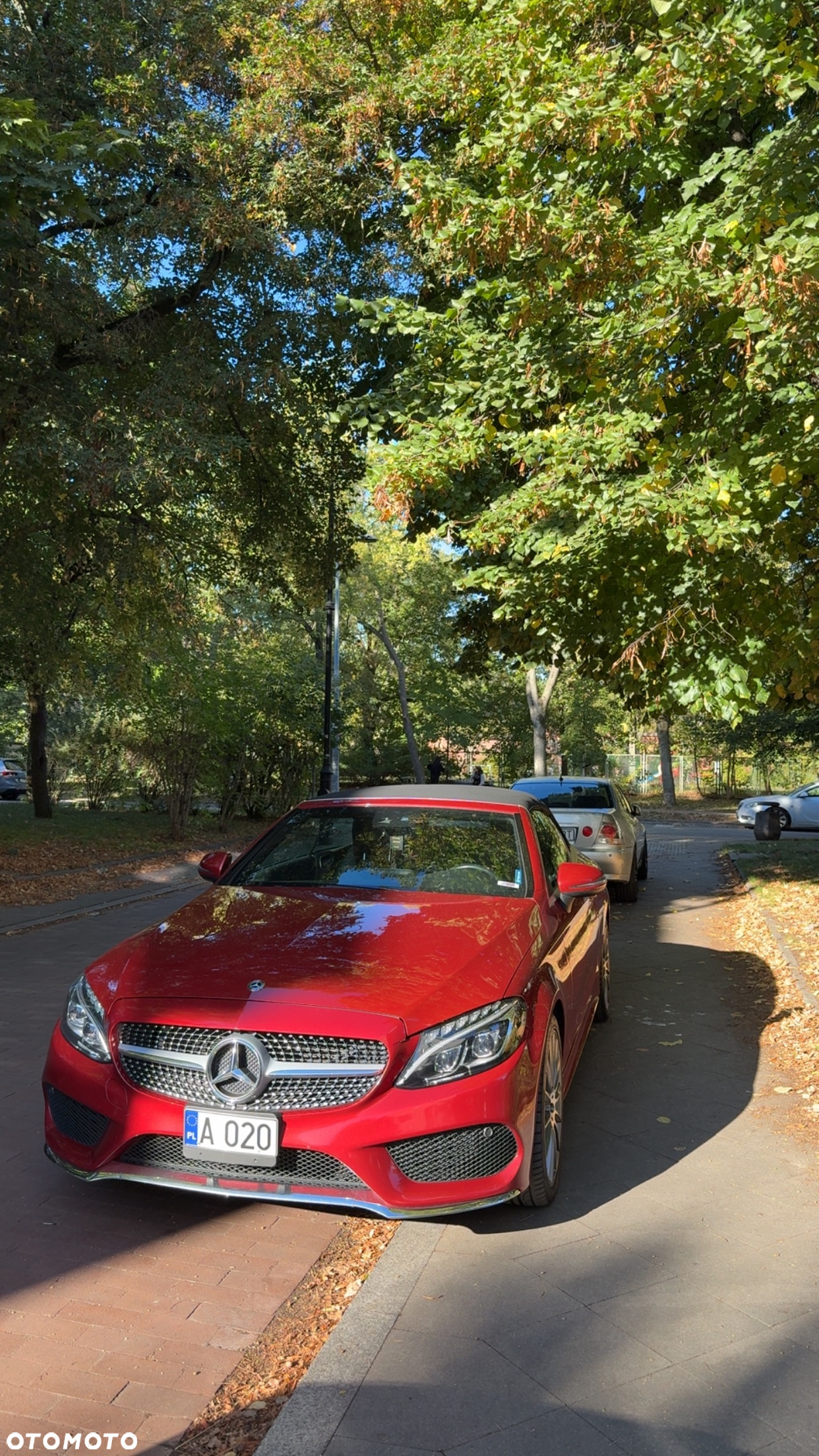 Mercedes-Benz Klasa C 300 Cabrio 9G-TRONIC AMG Line - 10