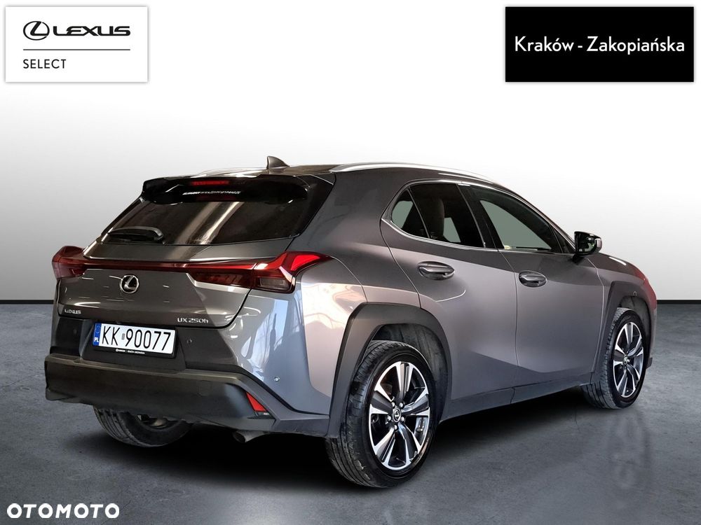 Lexus UX 250h GPF Business 2WD - 10