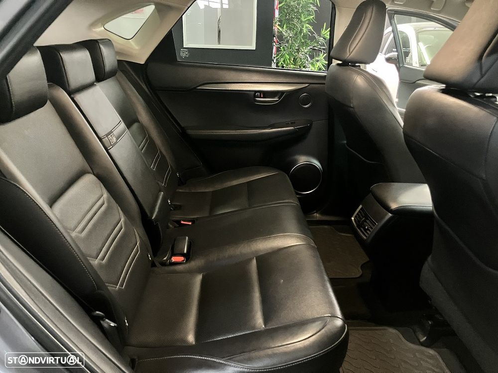 Lexus NX 300h Executive Plus - 19