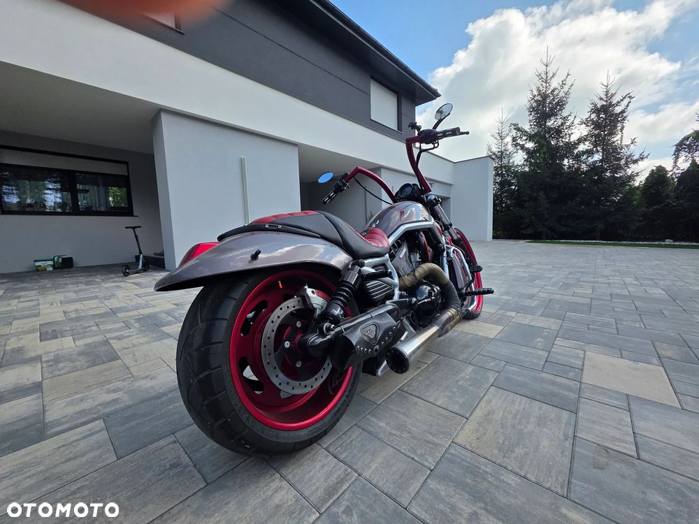 Harley-Davidson V-Rod Street Rod - 1