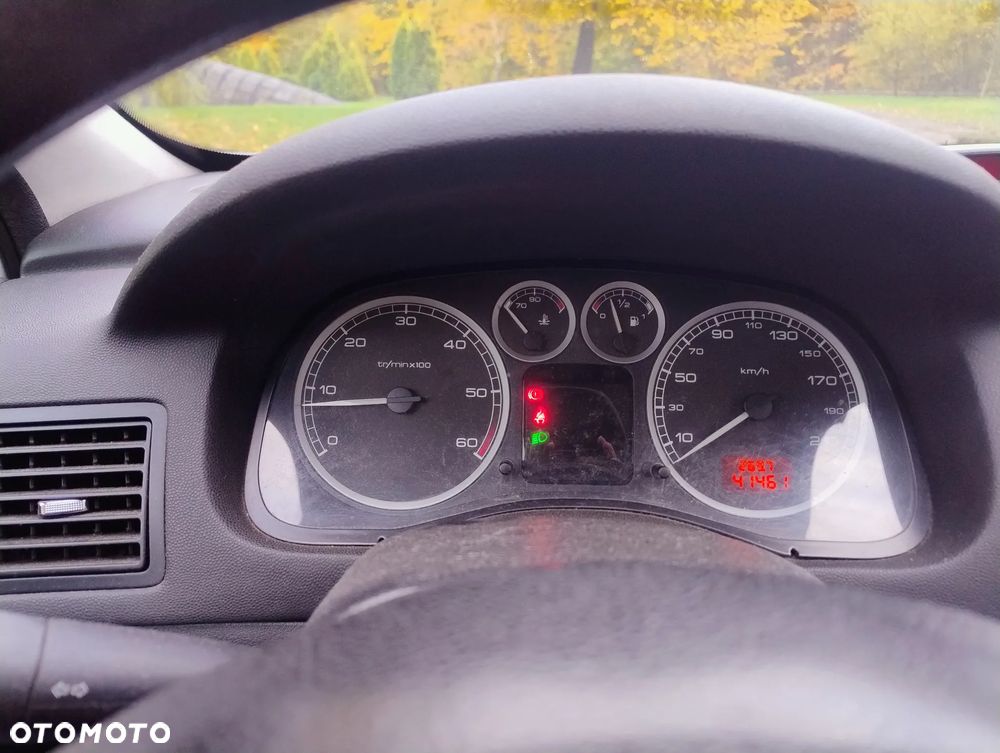 Peugeot 307 2002 photo 4
