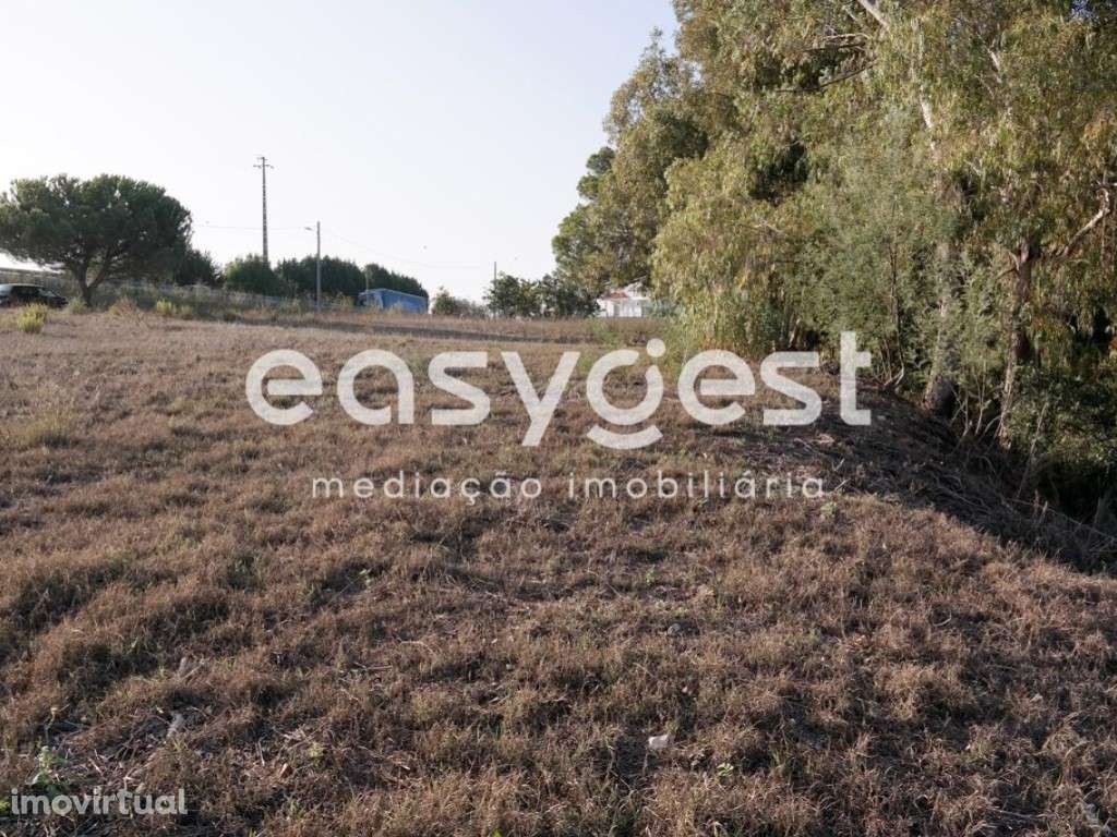 Terreno Construível de 2340m2 em Marrazes, Possibilidade de 3 Moradias - Grande imagem: 3/16