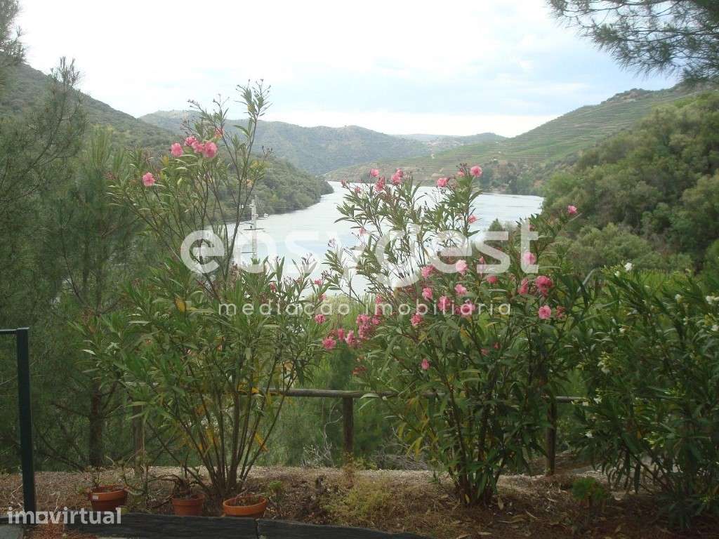Quintinha com vista deslumbrante sobre o Douro Internacional - Grande imagem: 3/20