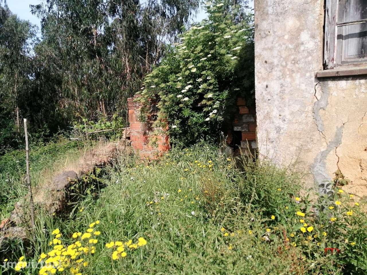 Moradia Devoluta T2 Venda em São Miguel do Souto e Mosteirô,Santa Mari - Grande imagem: 3/13