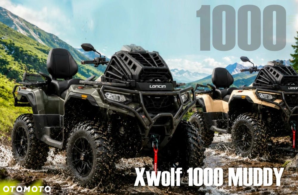 Loncin XWOLF 1000 - 5