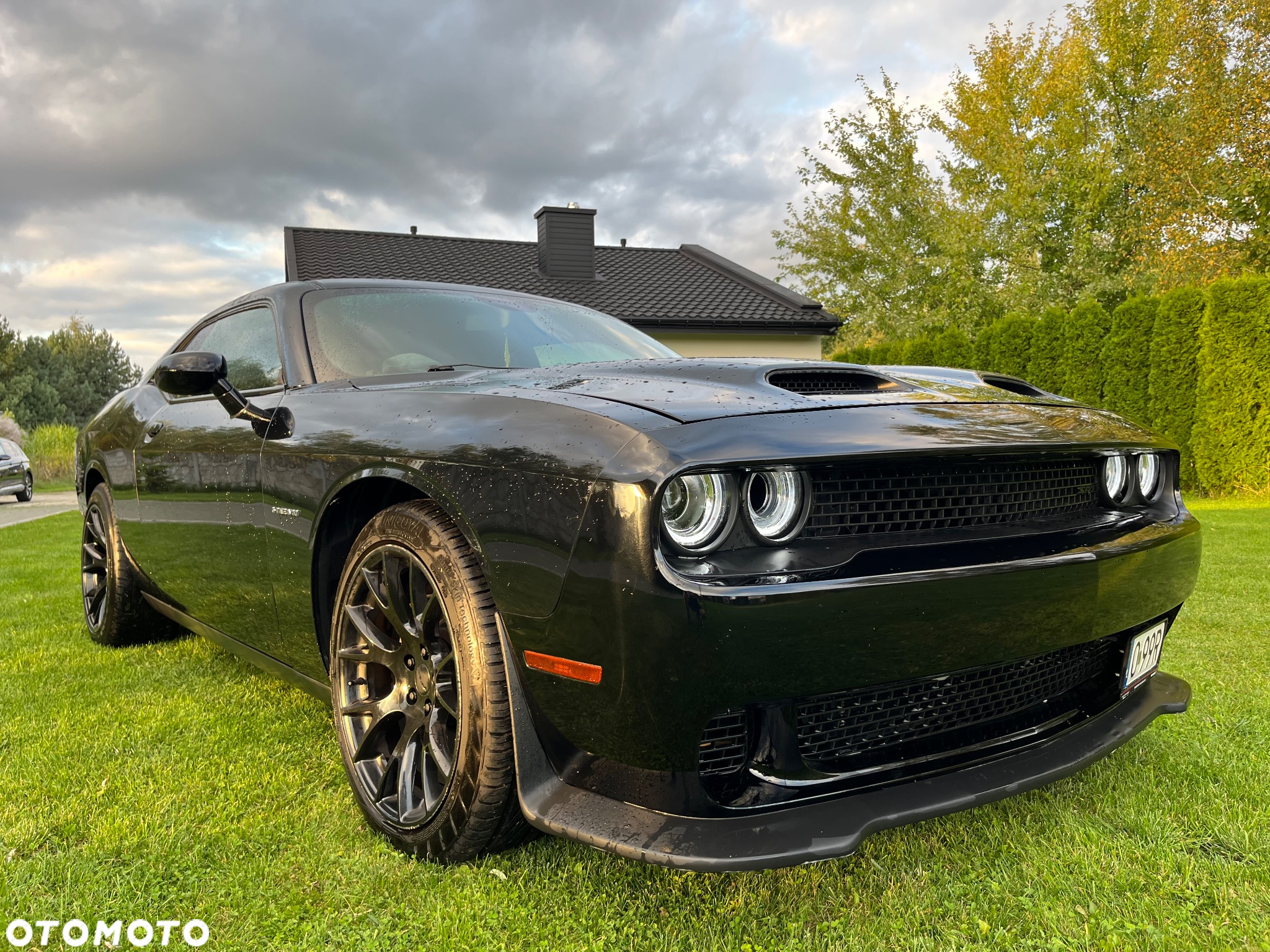Dodge Challenger - 13