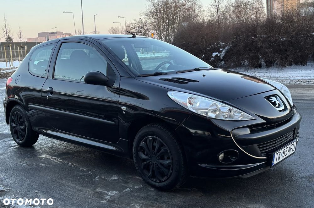 Peugeot 206 plus 60 - 40