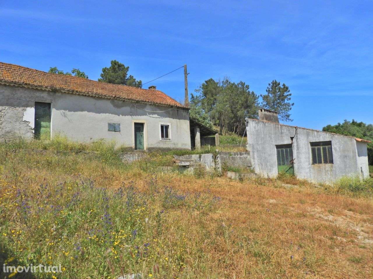 Quintinha com 44.020 m2 de terreno - Grande imagem: 2/20