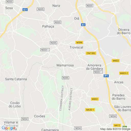 Moradia antiga (T3) para renovação ou demolição - Grande imagem: 2/2